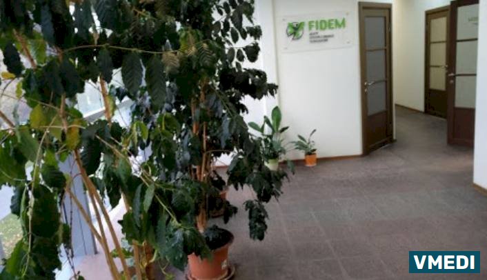 Центр FIDEM